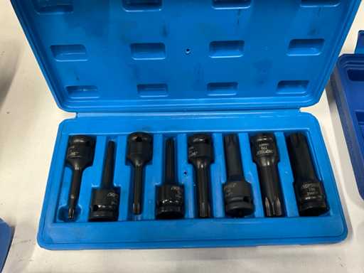 XP tools Set di bussole torx