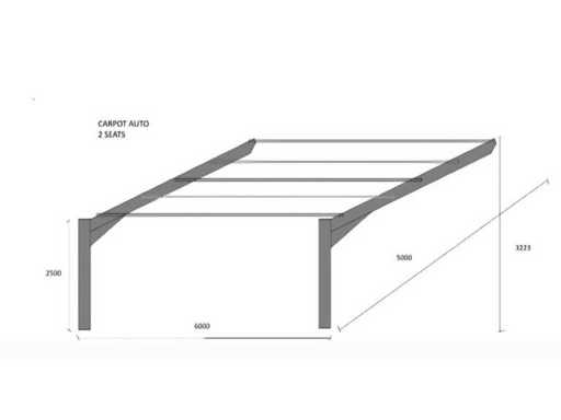 EMANUEL - Carpot auto 2 places - Steel construction