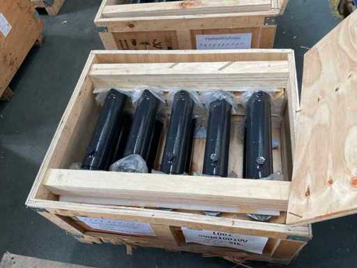 80/40*250 hydraulische cilinder (10x)