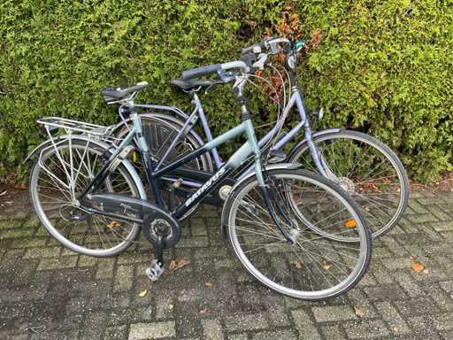 Batavus Damesfiets (2x)
