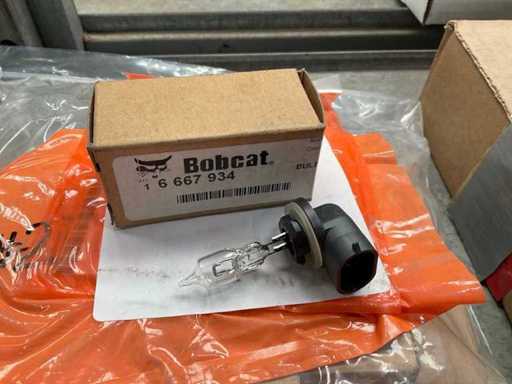 Bobcat Halogen lamp (14x)
