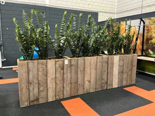 Plants with pot (3x)