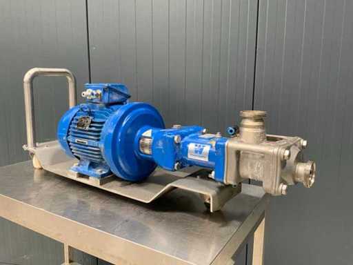 2021 Wangen Twin NG 70.43-1 / 5.5 Pumpe