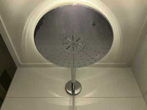 Grohe - Head shower with wall arm