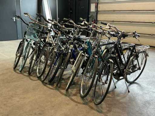 City bike (10 volte)
