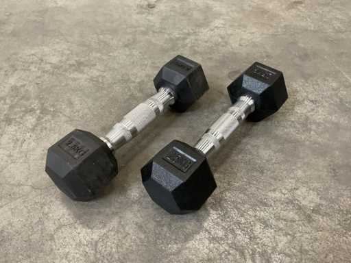 2.5kg - Set of 2 hexagon dumbbells (6x)