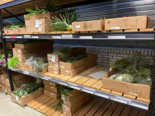 Lot de plantes artificielles