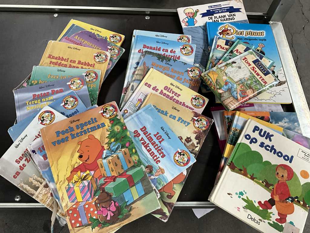 Plm 28 diverse kinderboeken en 1 decoratieve kader