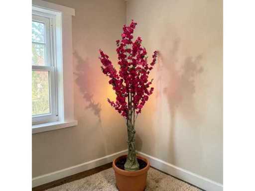 Bloesem boom (48x)