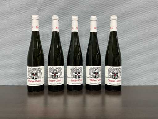 Muller Catoir Riesling Burgergarten 1e Lage 2020 (5x)