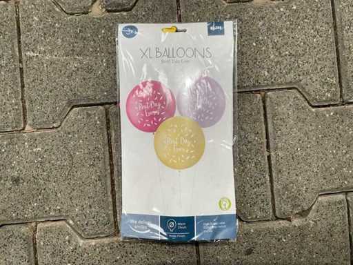 Ballonnen Pastel XL Best Day Ever Roze - 3stk (120x)