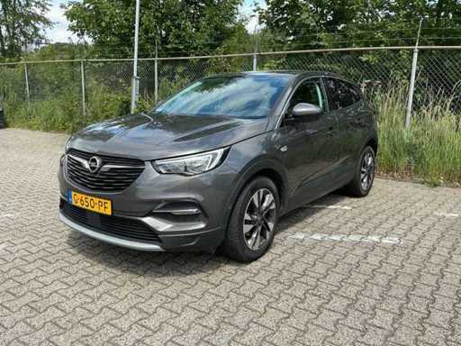 2019 Opel Grandland X 1.2 Turbo Bus. Ex. Passenger car