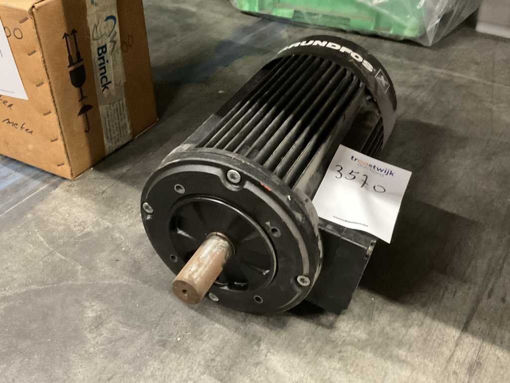 Grundfos Electric motor