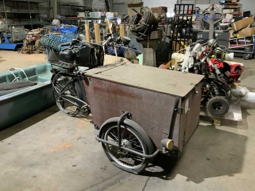 Electric cargo bike
