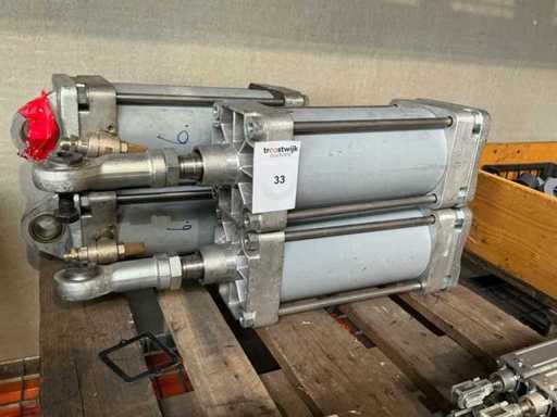 Cilindro pneumatico (4x)