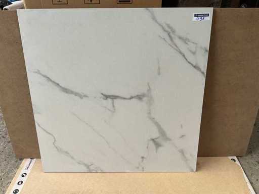 Kutahya Calacatta Matt 80x80 cm Tile 61.44 m²