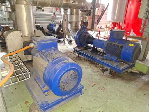 KSB - 1998 - Aspersor cu pompă (2x)