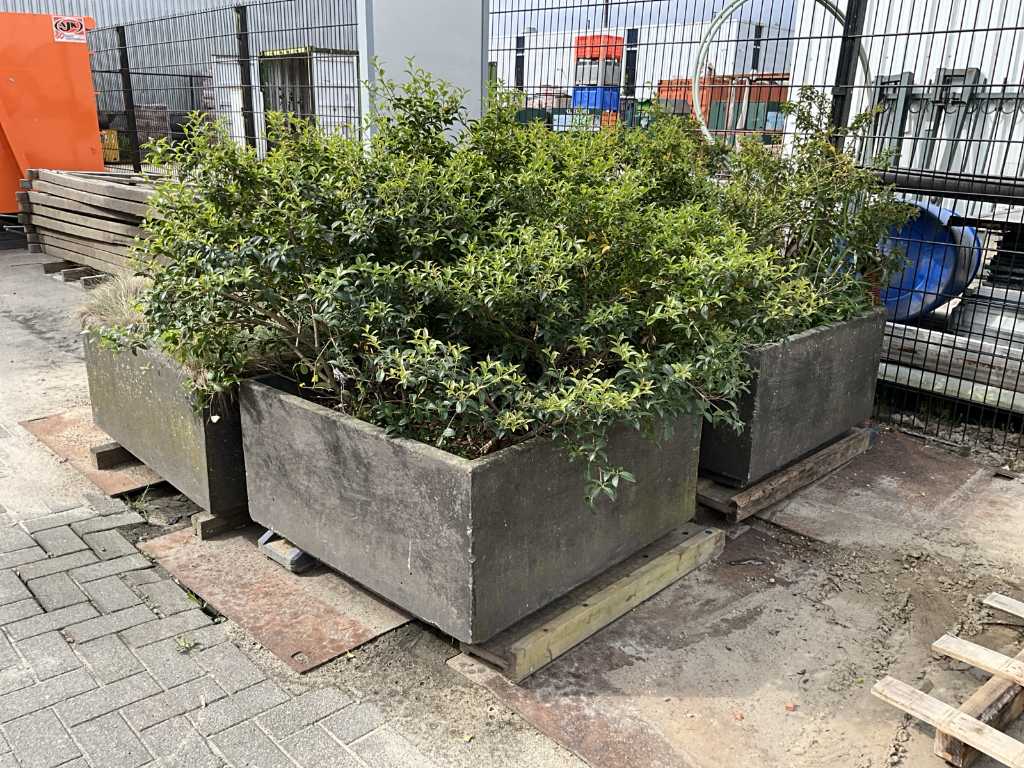 Betonnen plantenbak (4x)