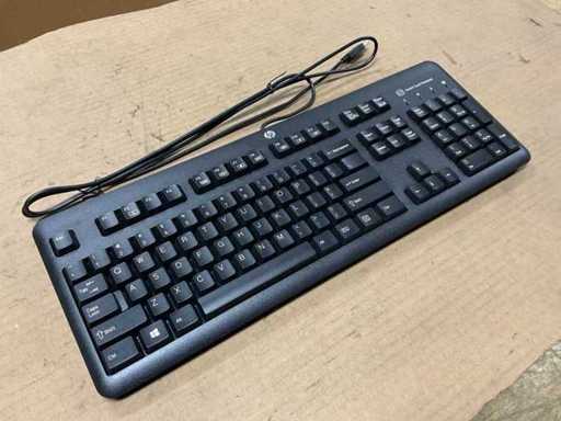 Tastatur? HP SK2027 (9x)