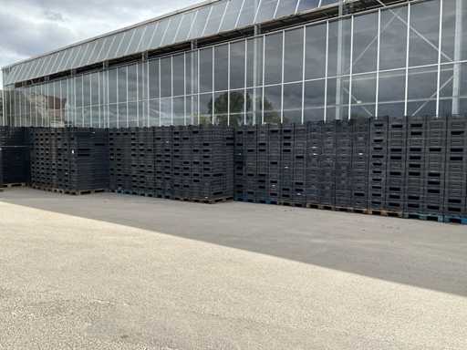 Cassetta per bulbi da fiore, pallet da 48 pezzi (32x)