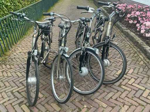 Elektrofahrrad (4x)