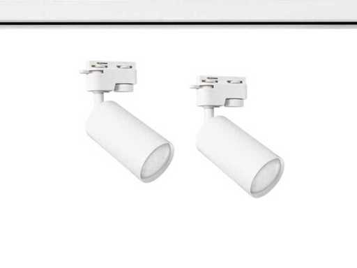 20 x MR4 monophasés taches blanches