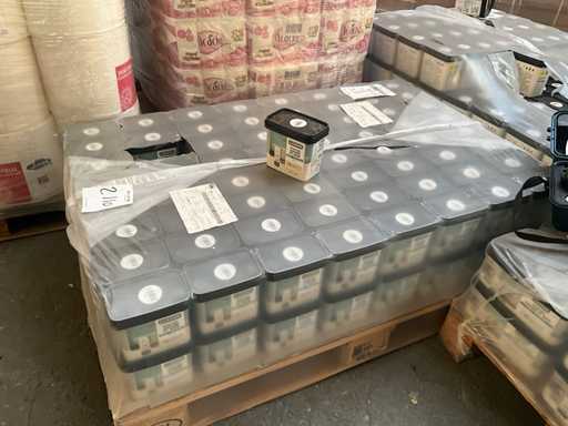 Luxens Fossil 6 Palettenfarbe