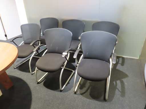 König + Neurath - Diva - Președintele ședinței (6x)