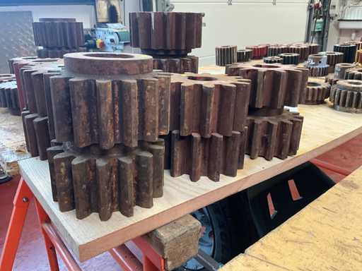 Various sizes of pinions