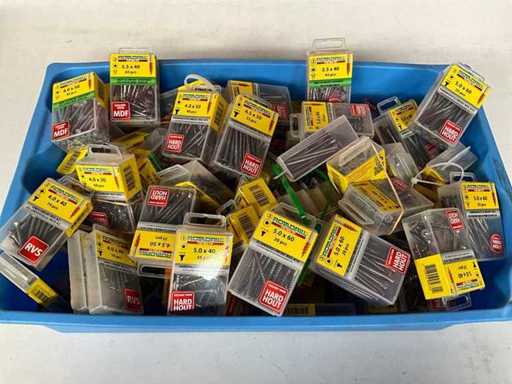 Rotadrill Diverse schroeven RVS, verzinkt en messing in blister (100x)