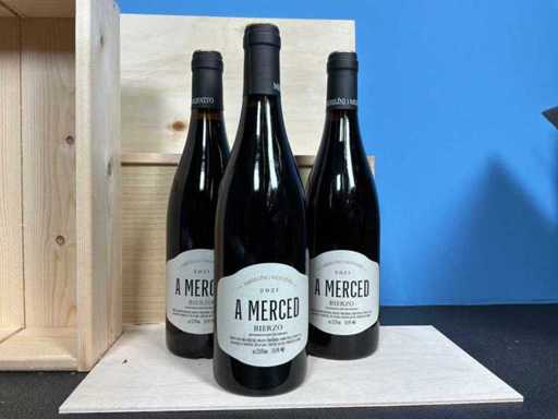 Michelini i Mufatto A Merced Bierzi Red Wine 2012 (3 volte)