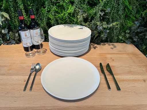 Villeroy & Boch - Pizza plate Ø 34 cm (25x)