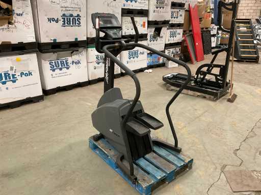 LifeFitness 9500HR Stepper