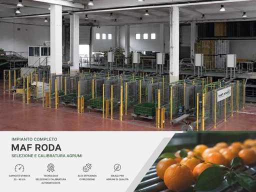 Orange packaging plant
