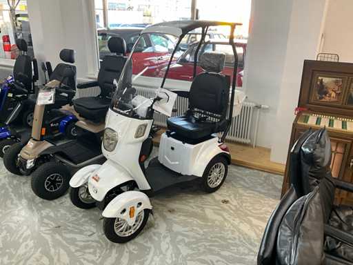 Véhicule électrique de luxe - Véhicule invalide/senior