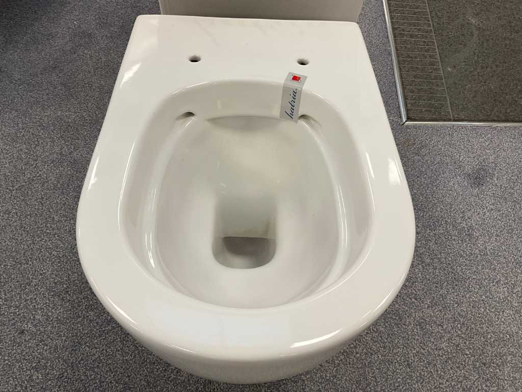 Hatria Rimless Wall Mounted Toilet | Troostwijk Auctions