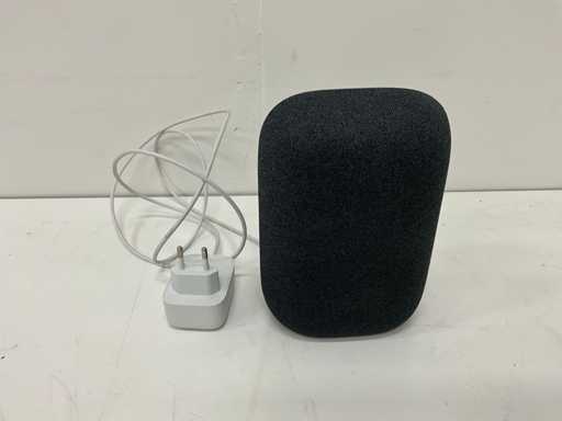 Google Nest audio Mediaspeler