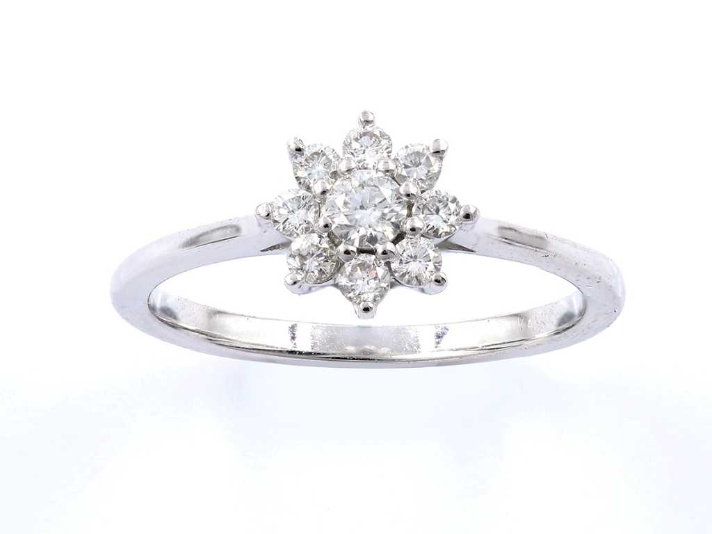 14 Kt White Gold Ring With Natural Diamonds