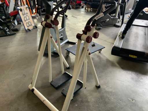 onbekend cross strider Crosstrainer