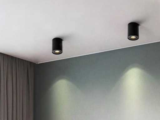 GU10 Opbouwspot Armatuur kantelbaar 12,5cm (30x)