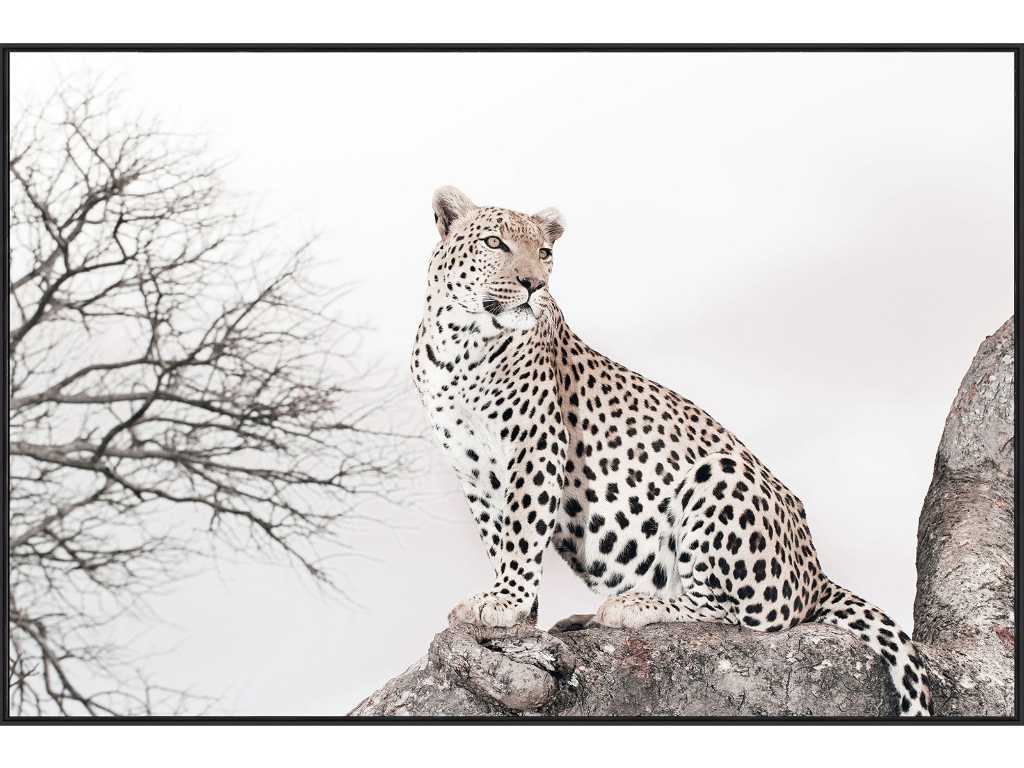 1x Cornice leopardo 120x80cm