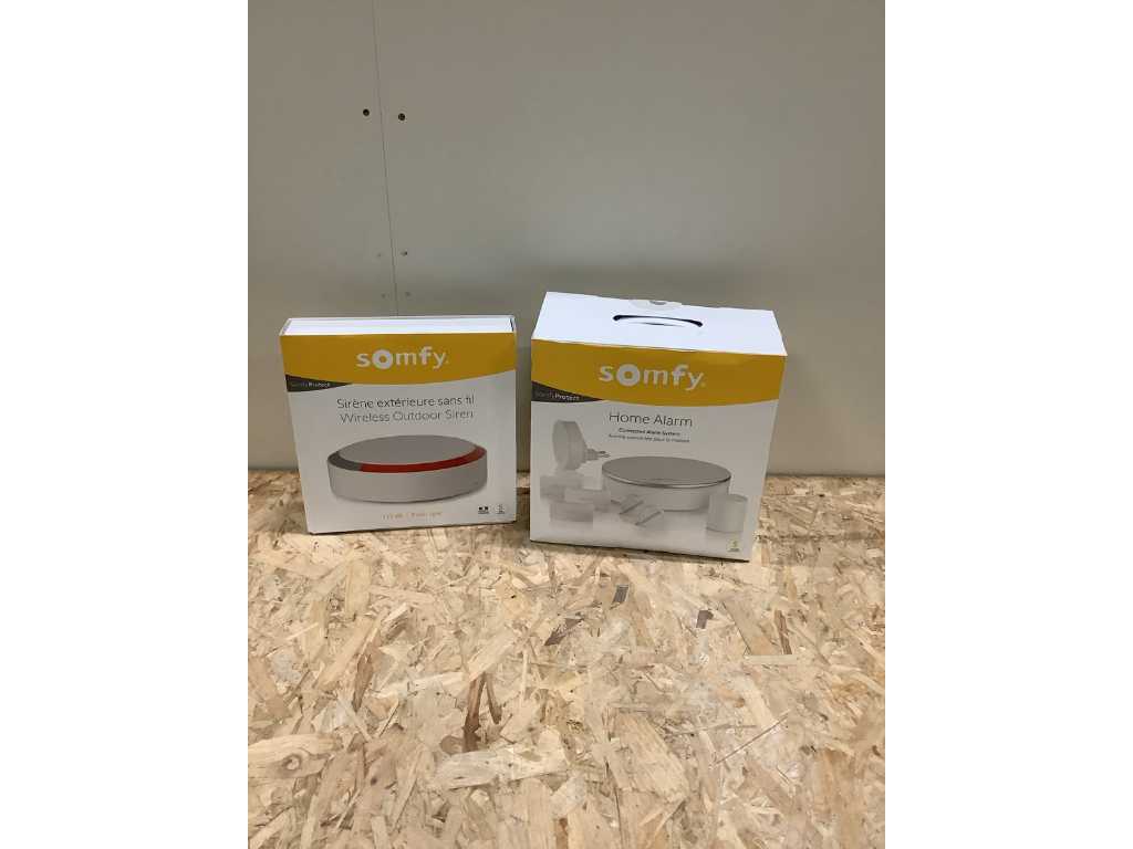 System alarmowy Somfy Protect (2x)