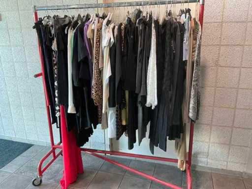 Women's clothing (60x)