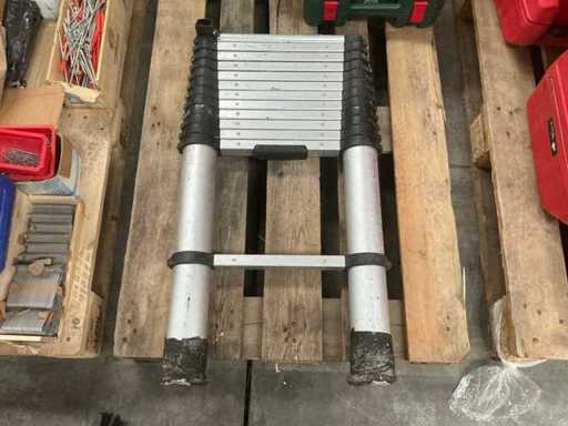 Telescopic ladder