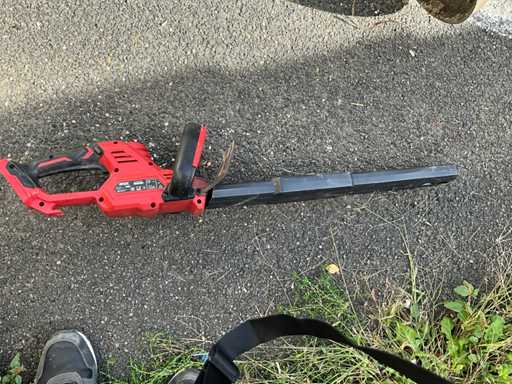 VAARDIGHEID GH1E043001 trimmen