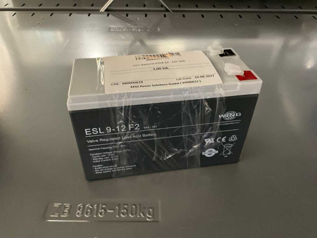 Aile - ESL 9-12 F2 - Batterie UPS