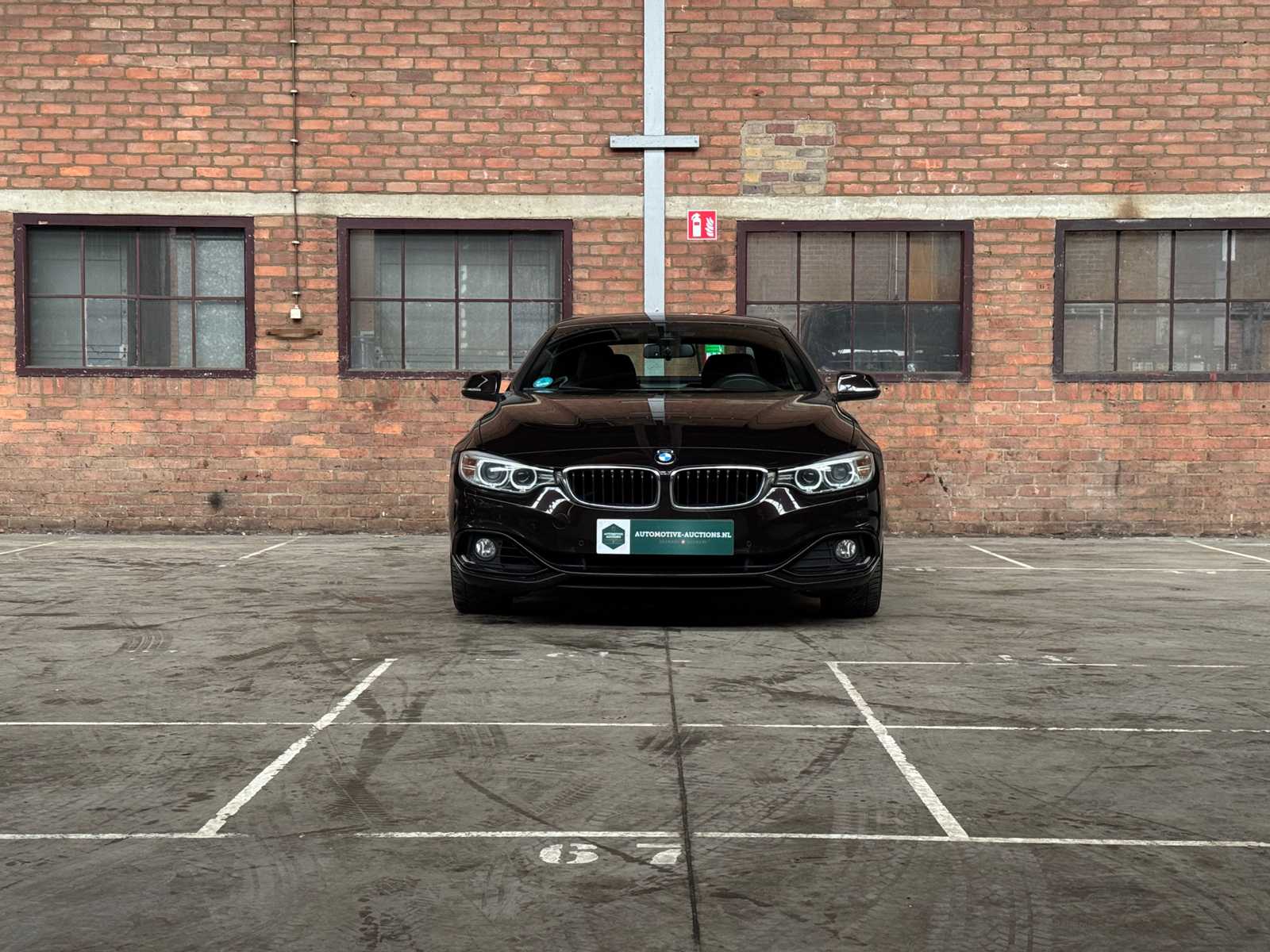 Luxury & sports cars in Boxmeer