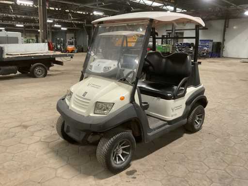 2020 Bensel cars BSN2 Golfkar