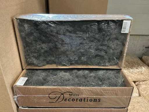 Fournée de mousse d’Islande noire (138x)