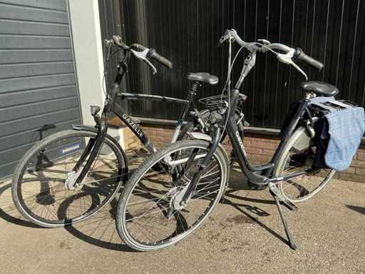 Bicicletta femminile e maschile GAZELLE (2x)